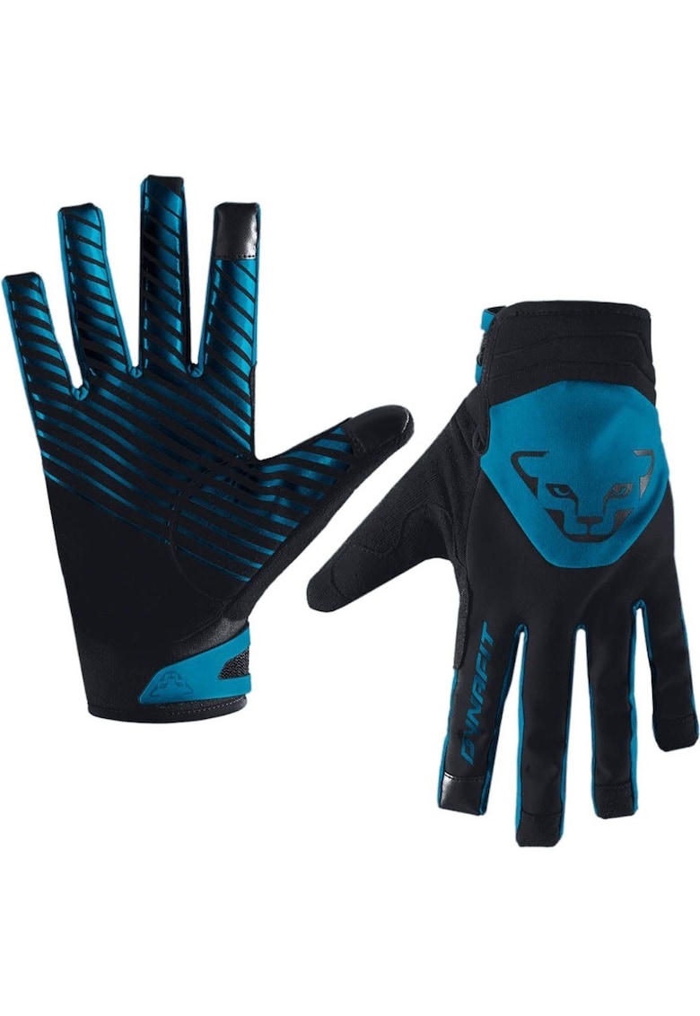 Manusi schi Radical 2 Softshell - Albastru