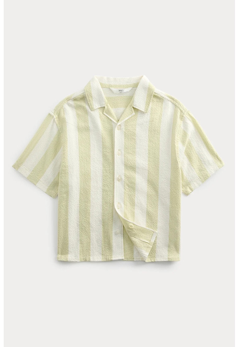 Camasa regular-fit cu dungi - Crem
