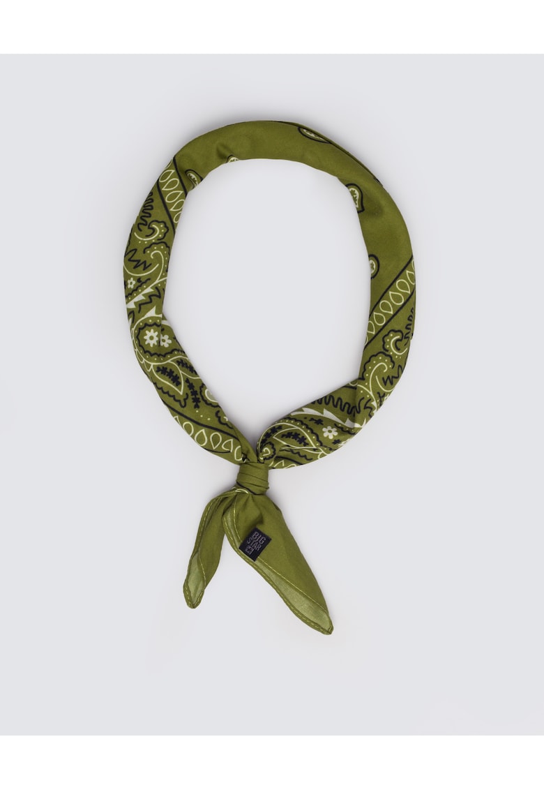 Esarfa cu model paisley Bandi 301
