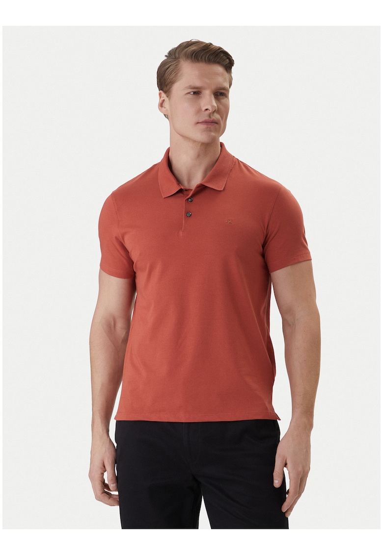 Tricou polo din bumbac cu nasturi contrastanti si terminatii striate
