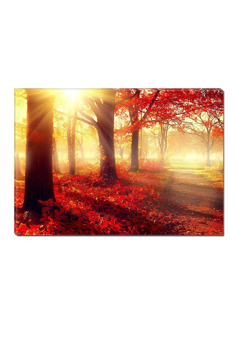 Tablou DualView Padure Rosie - Natura - Luminos in intuneric - 70 x 100 cm