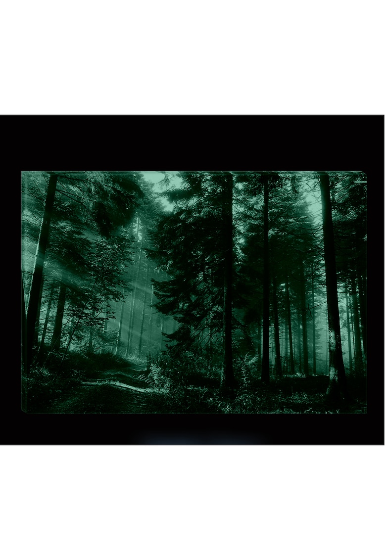 Tablou DualView Alee in Padure - Natura - Luminos in intuneric - 70 x 100 cm