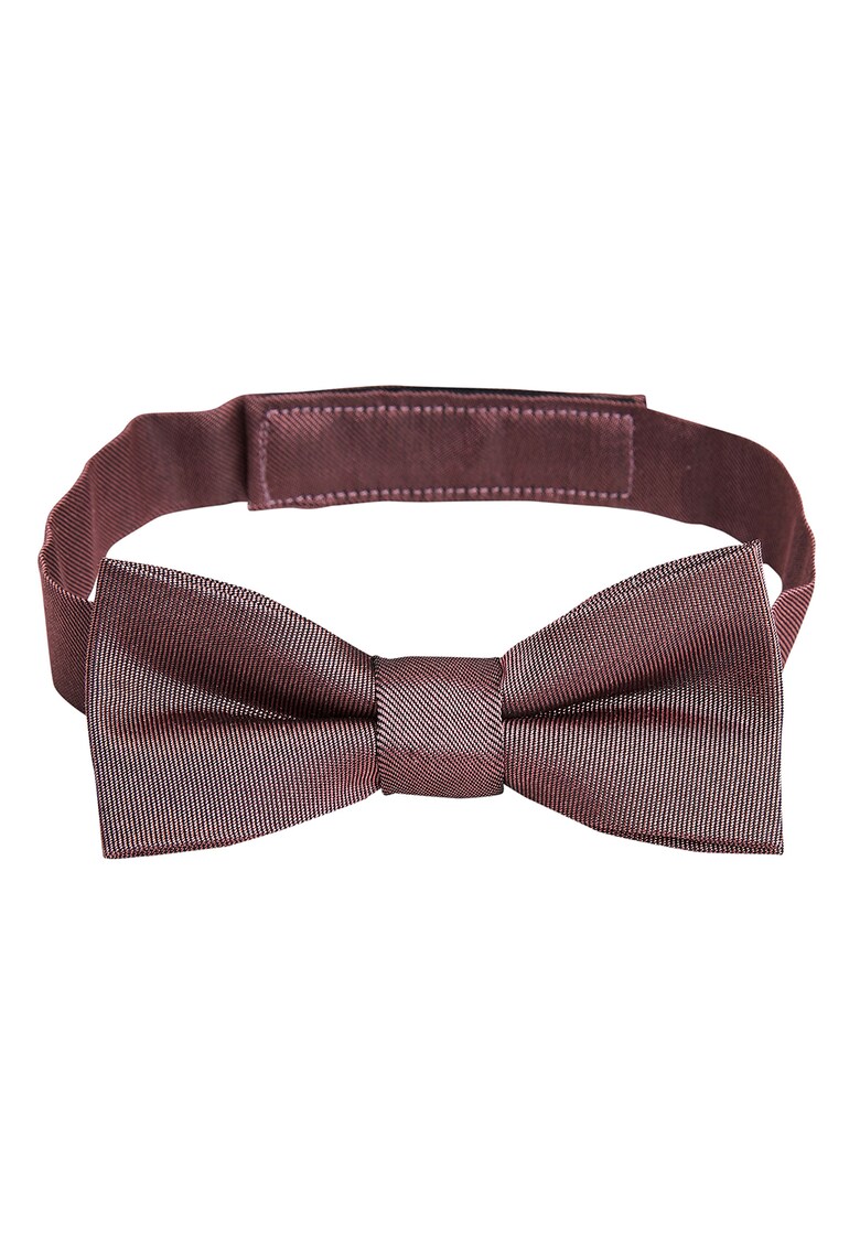 Papion de matase Papion de matase