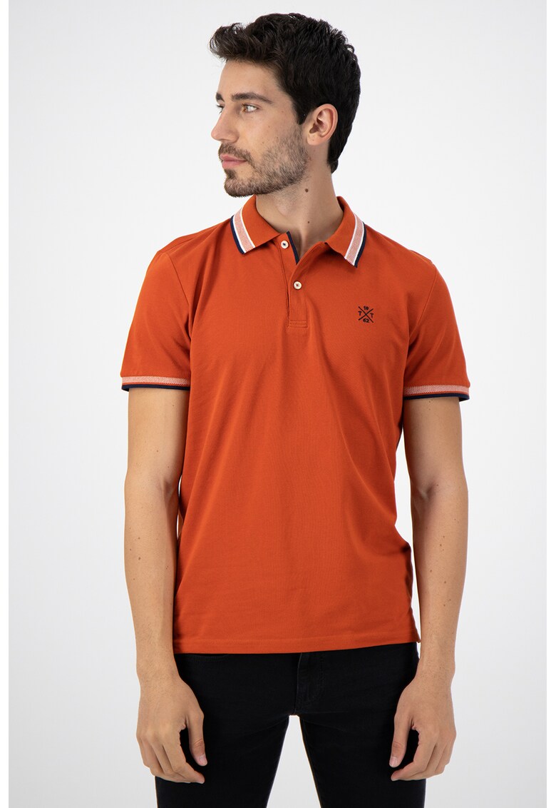 Tricou polo cu broderii