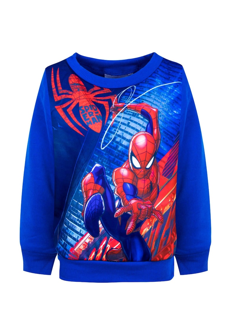 Bluza  1479 Bluza  1479