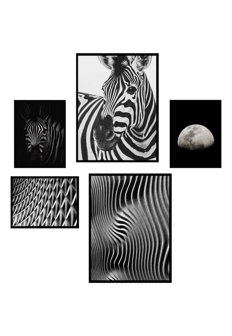 Heinner Home Set 5 tablouri decorative zebra bw