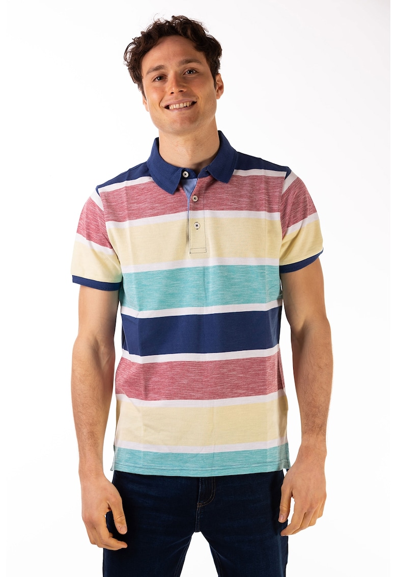 Tricou polo de bumbac in dungi