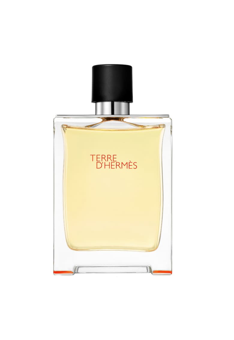 Apa de parfum Terre D'Hermes - Barbati
