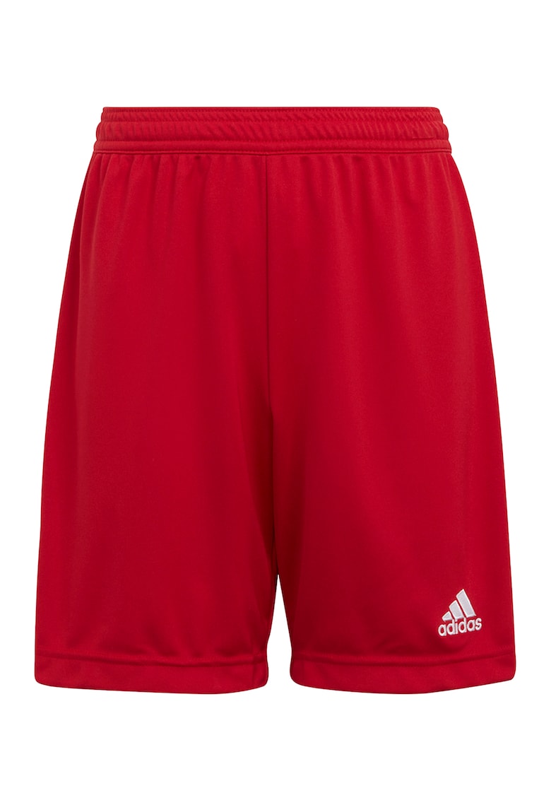 Pantaloni scurti pentru fotbal ENT22