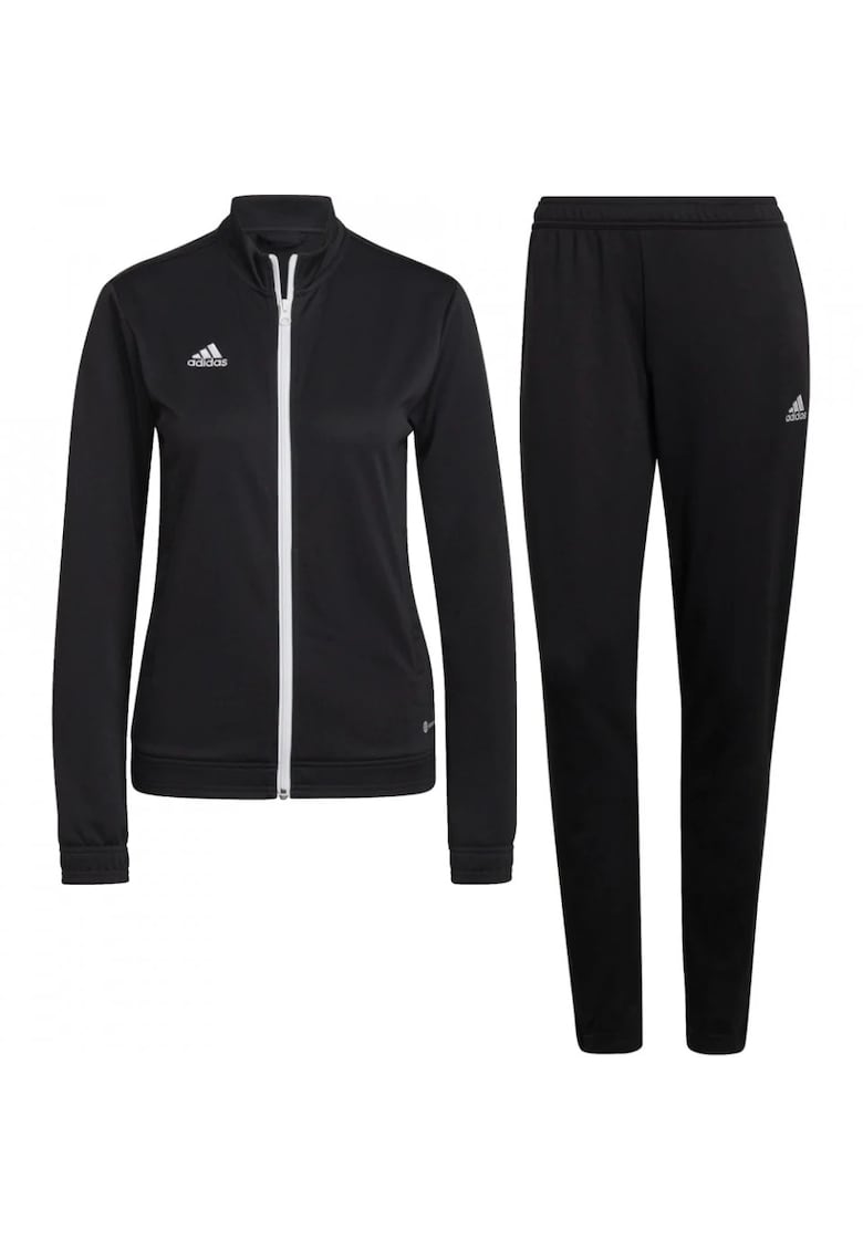 Trening Entrada 22 Track femei