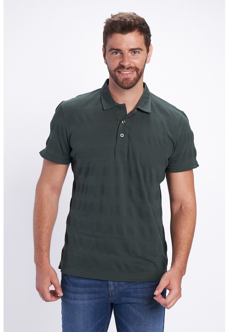 Tricou polo din bumbac cu model in dungi