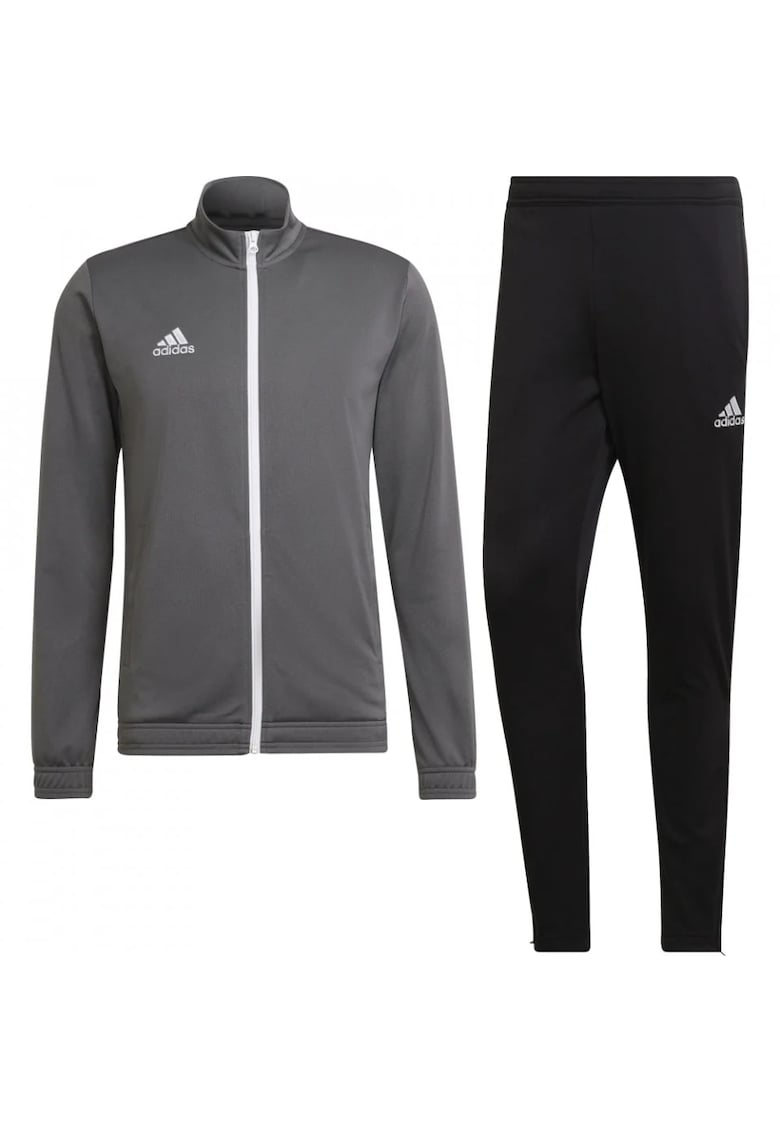 Trening Entrada 22 Track barbati