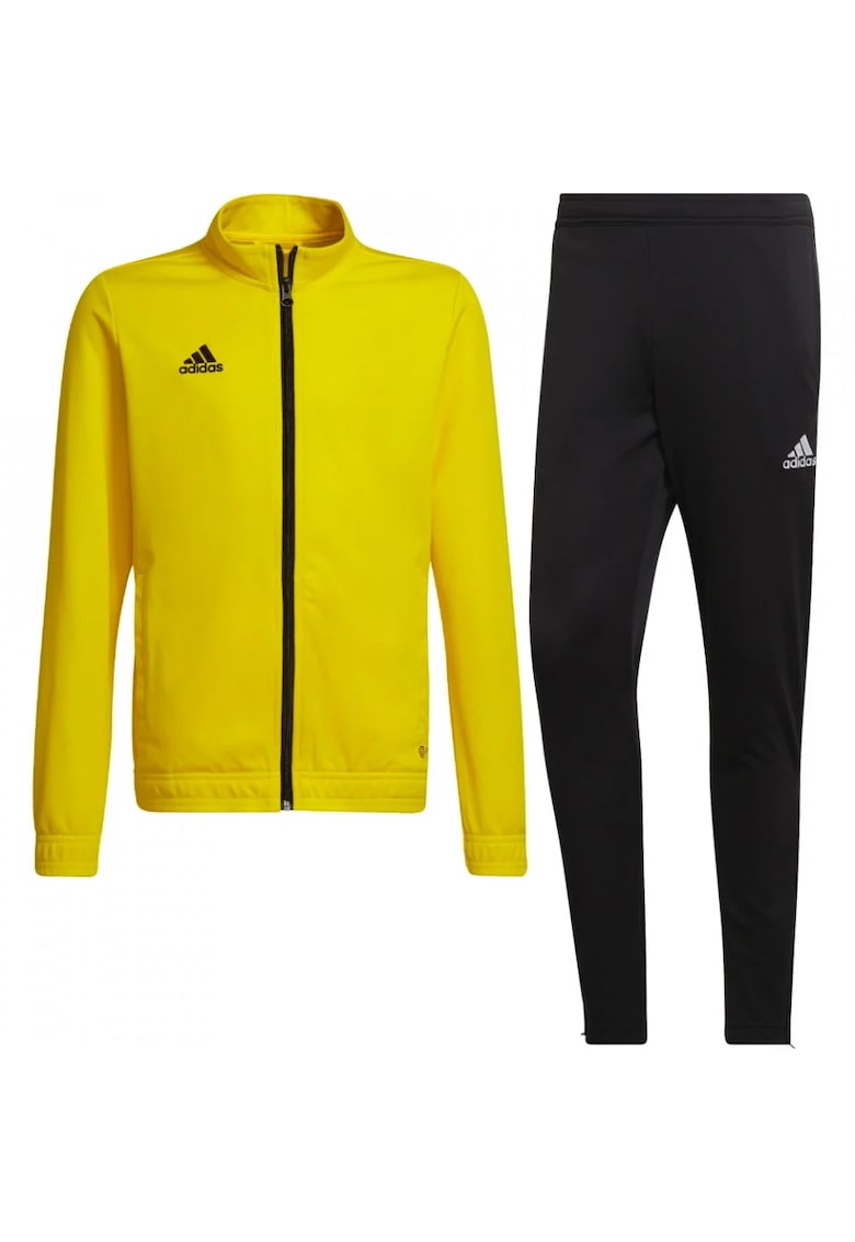 Trening Entrada 22 Track barbati