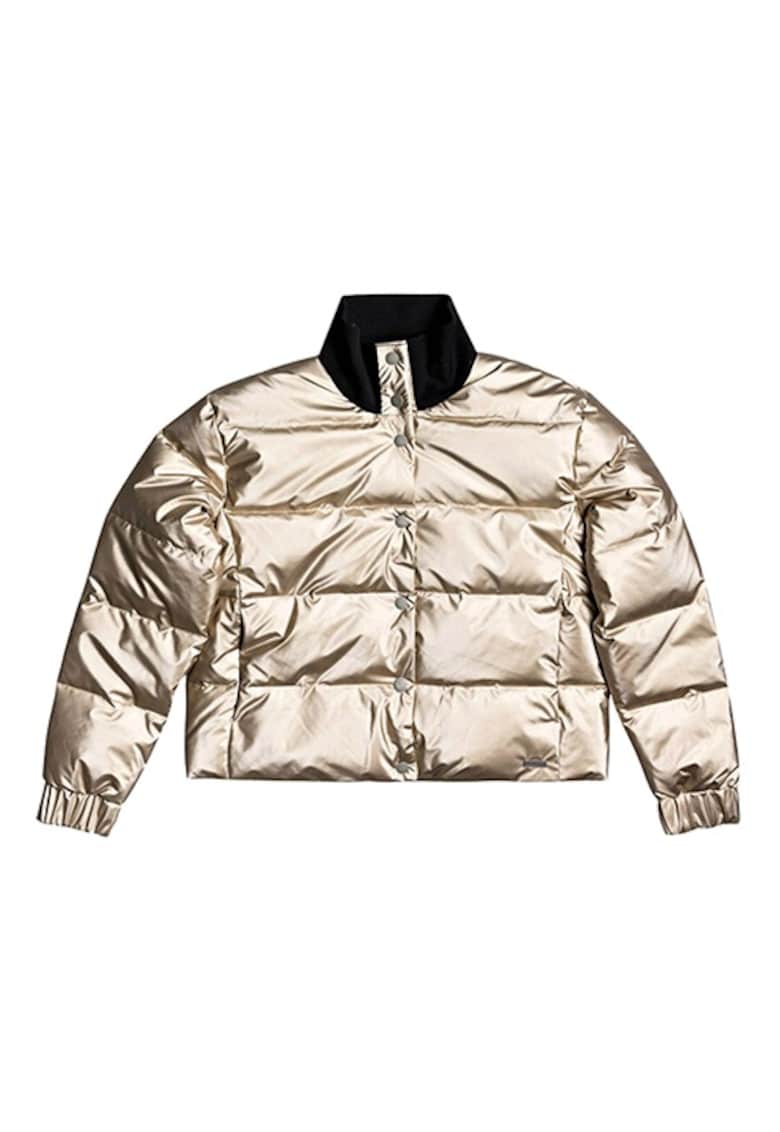 Jacheta Dama - Poliester - Auriu/Negru -