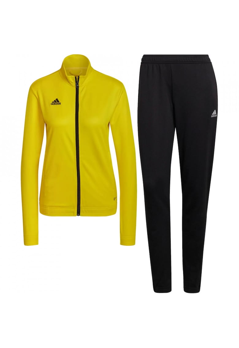 Trening Entrada 22 Track femei