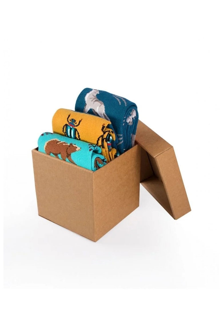 Sosete bumbac Forest Animals Cool Box - 3 buc.