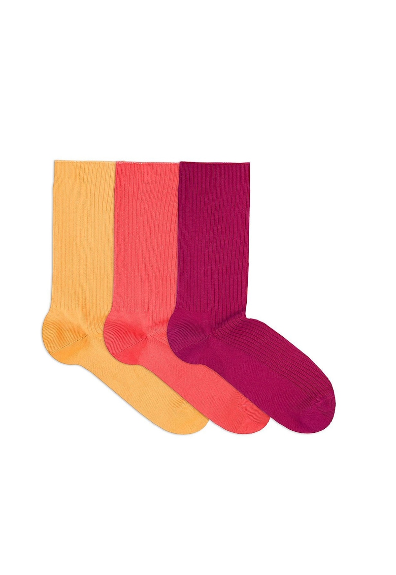 Sosete bumbac lungi fara elastic Box 3 buc Yellow Coral Fucsia