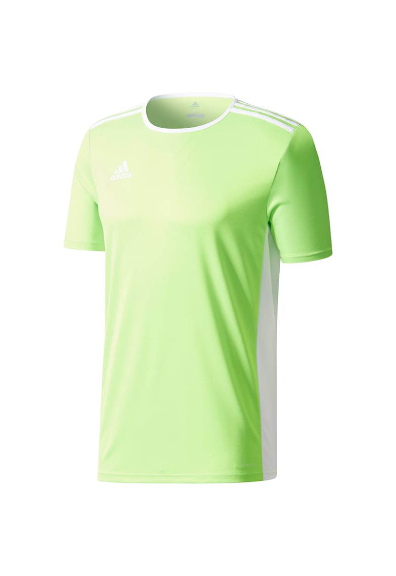 CE9758/CE9755 Tricou pentru copii Entrada 18 Jersey JUNIOR lime CE9758/CE9755