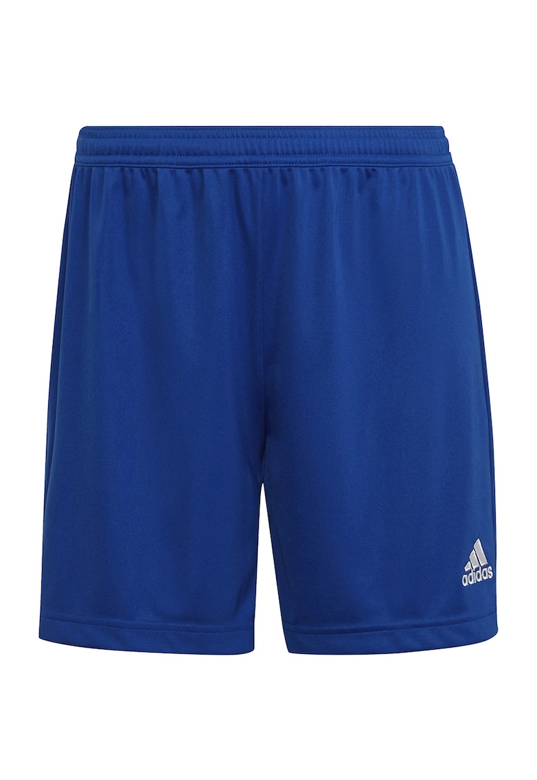 Pantaloni sport dama - Albastru - Albastru