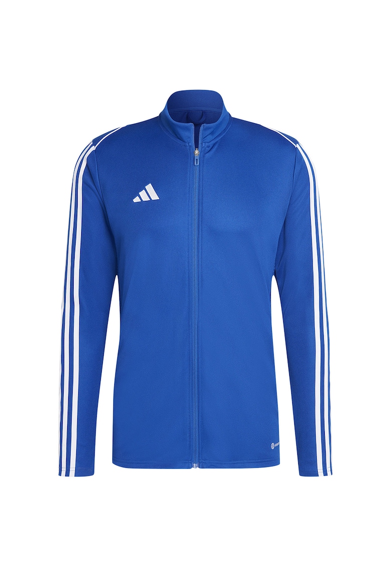sport barbati Poliester - 65499 - Albastru