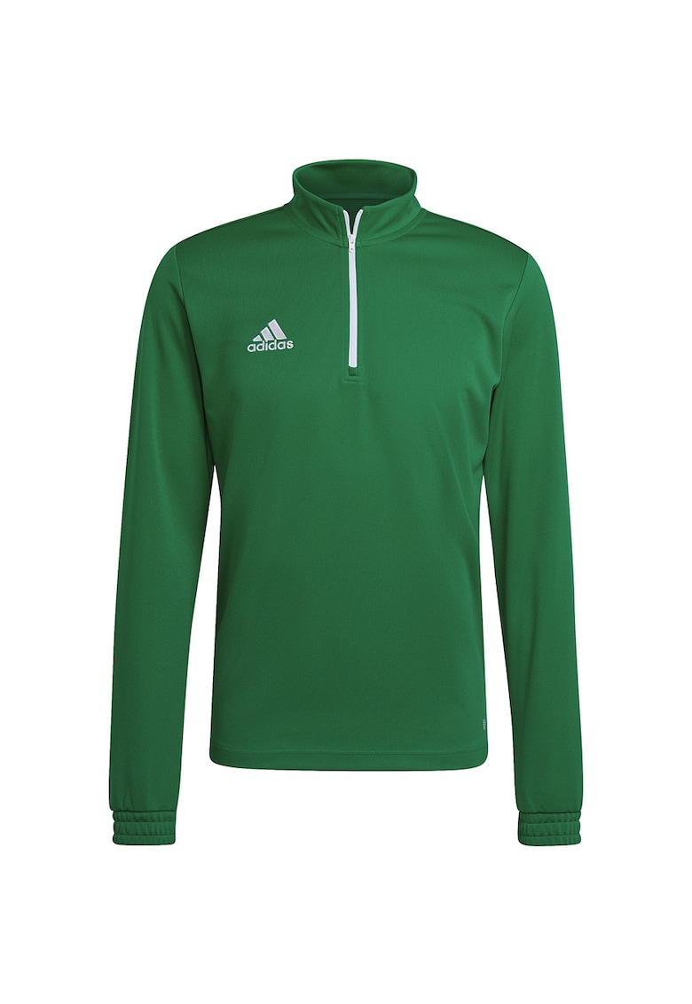 barbati - Poliester - Verde - 65420