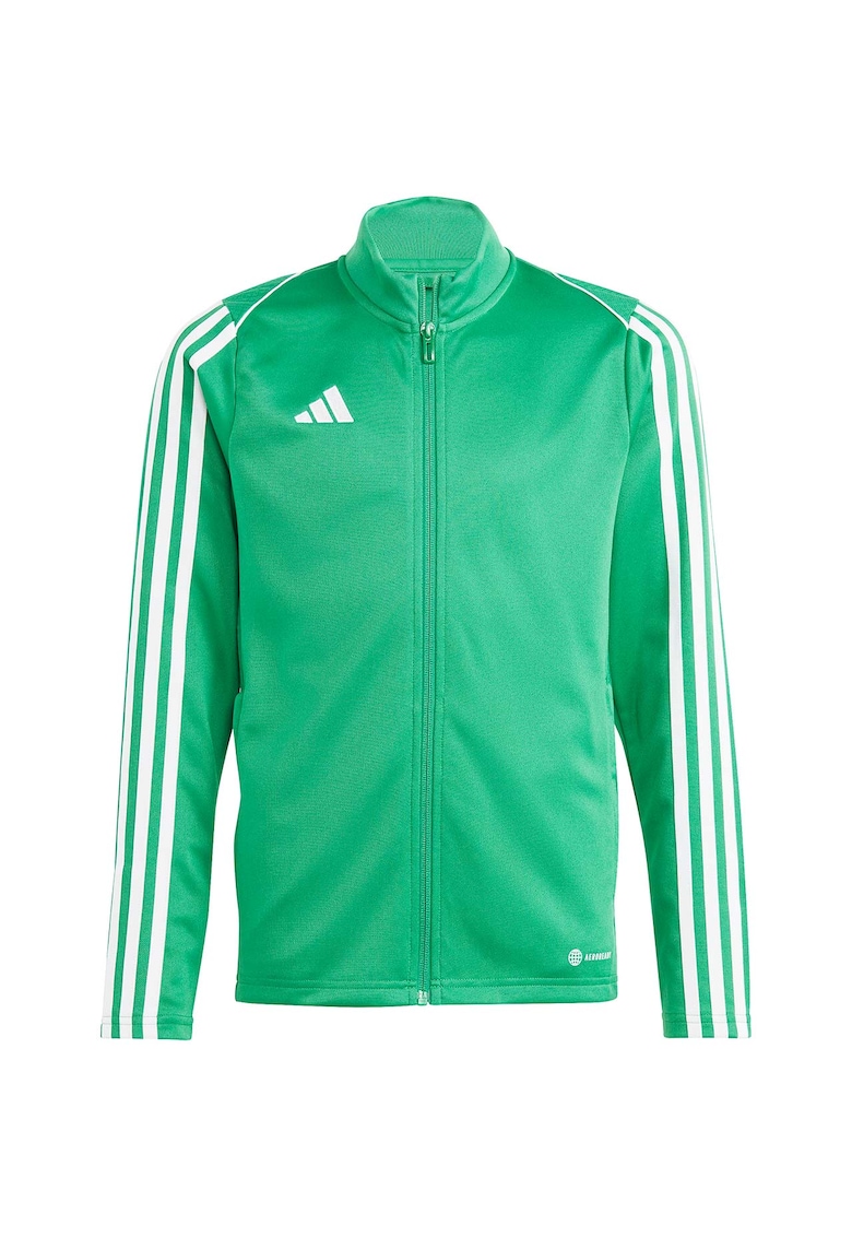 Bluza sport Verde - Verde