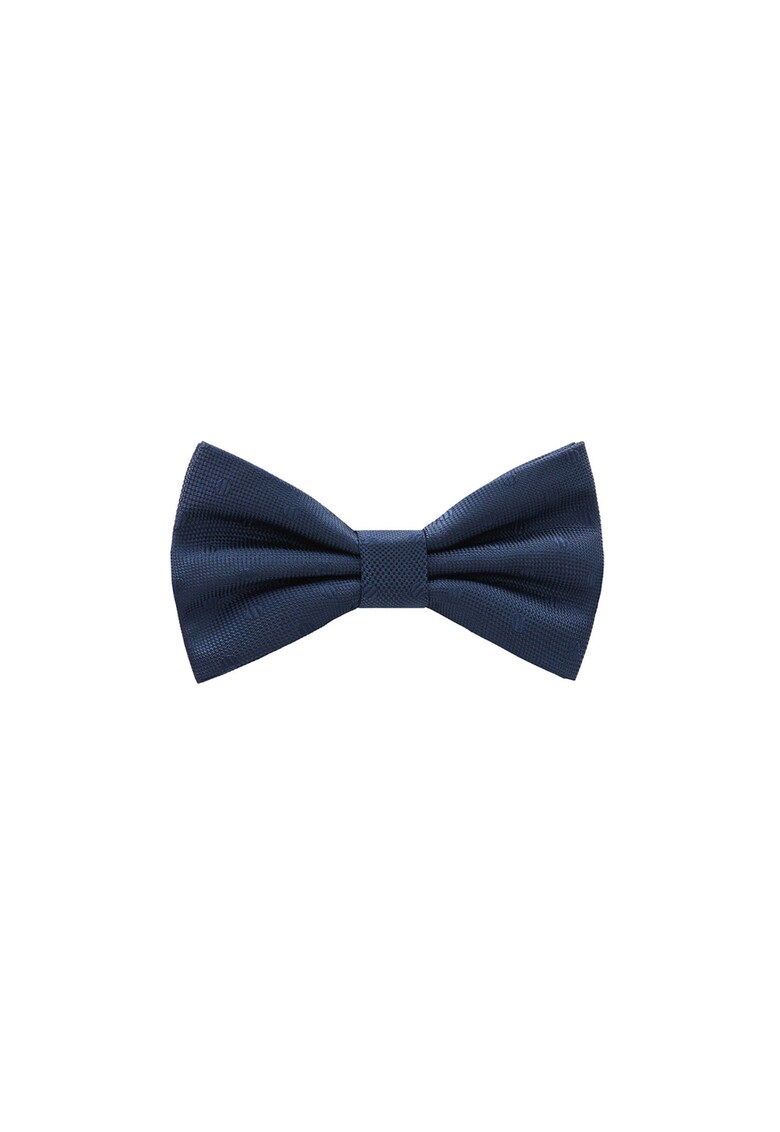 Papion Basic