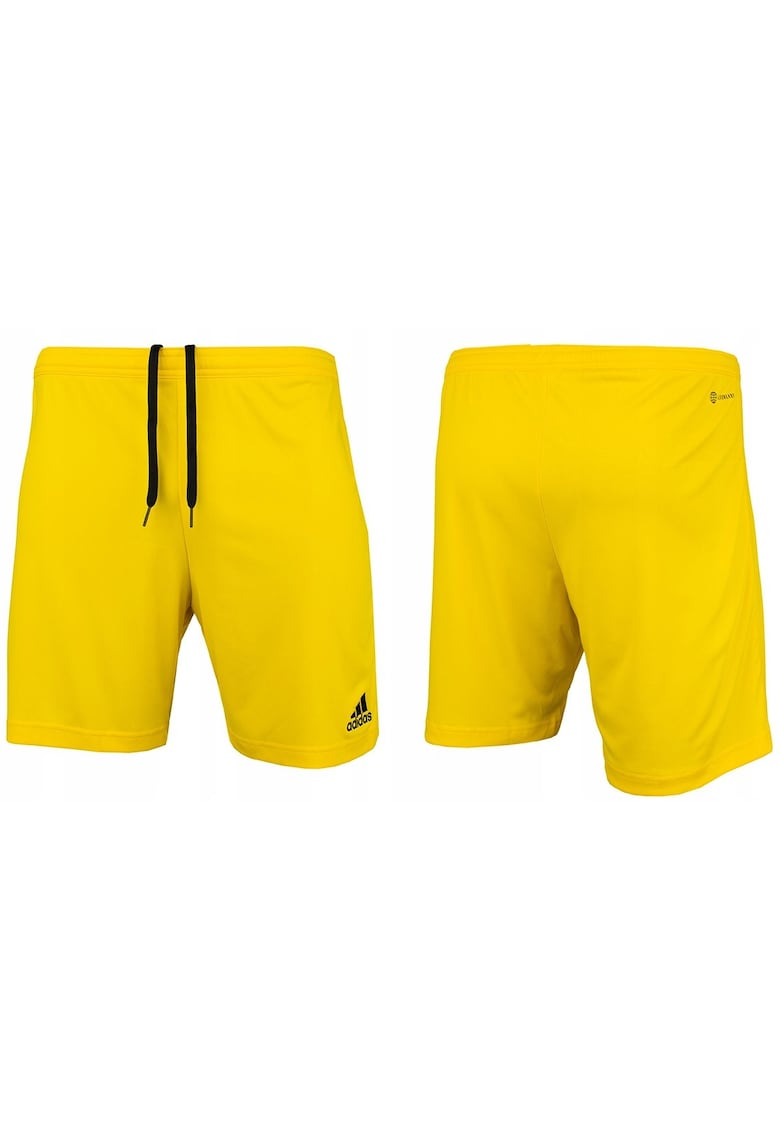 Pantaloni sport barbati - Poliester - Galben - L