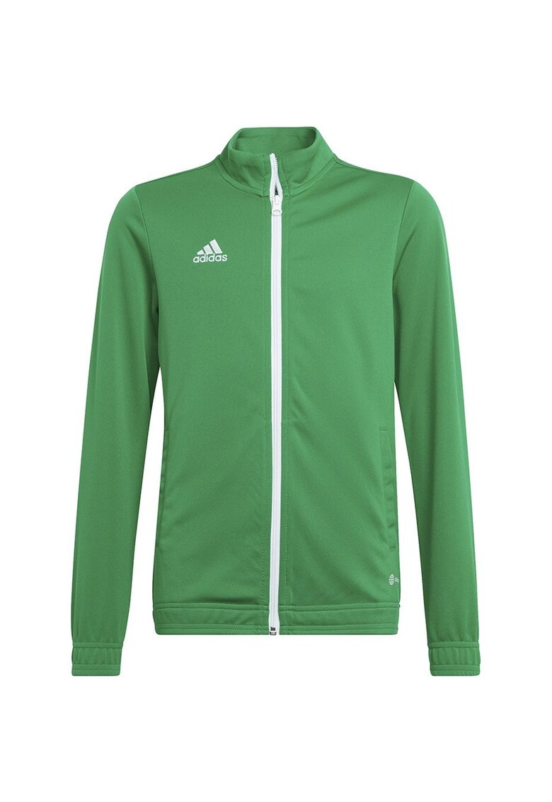 verde - poliester - 54987