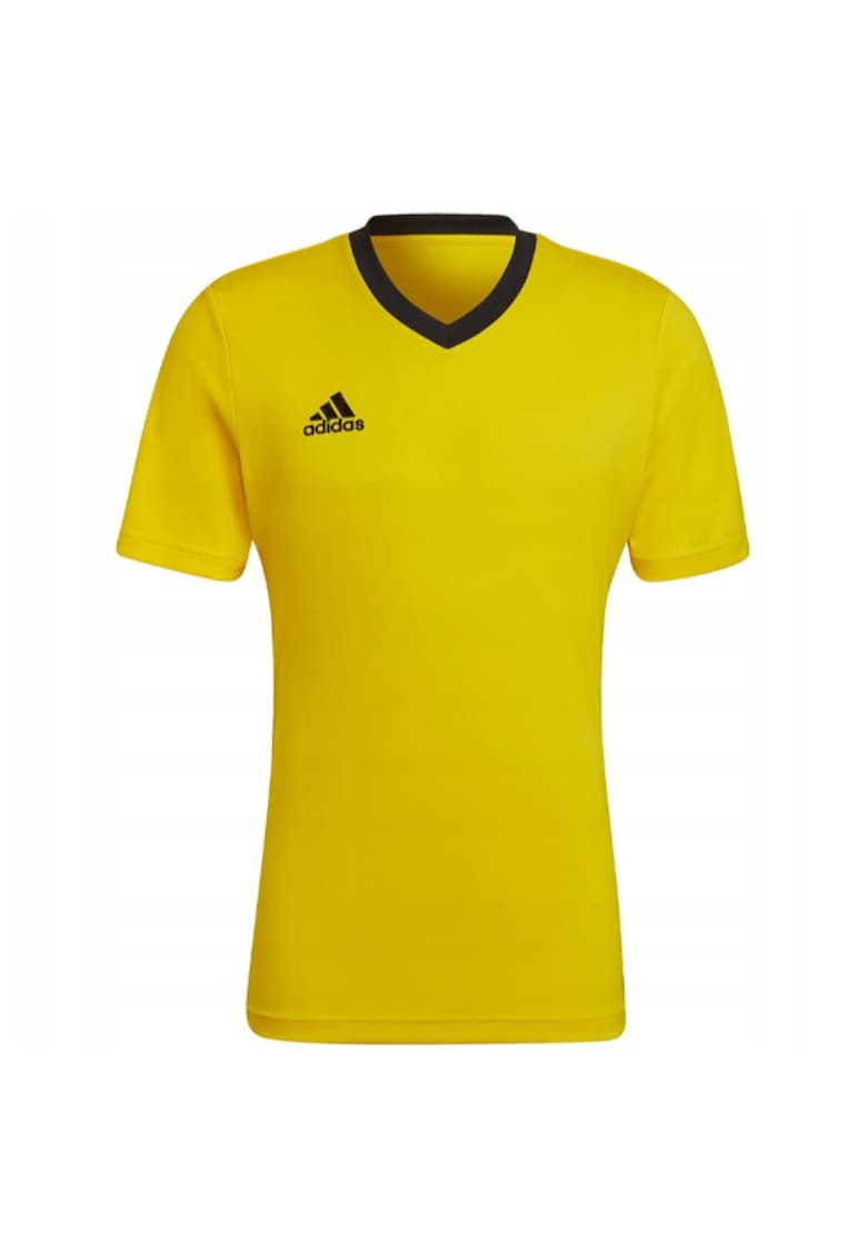 Tricou barbati - Entrada 22 Jersey - Poliester - Galben