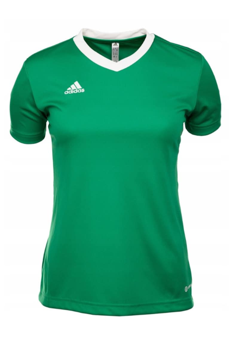 Tricou dama Entrada 22 Jersey verde5