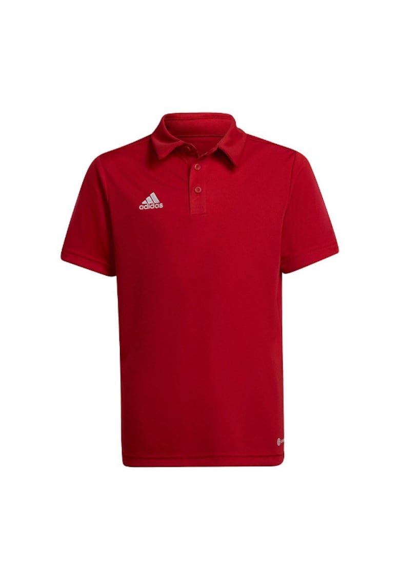 Tricou pentru copii - Rosuaa