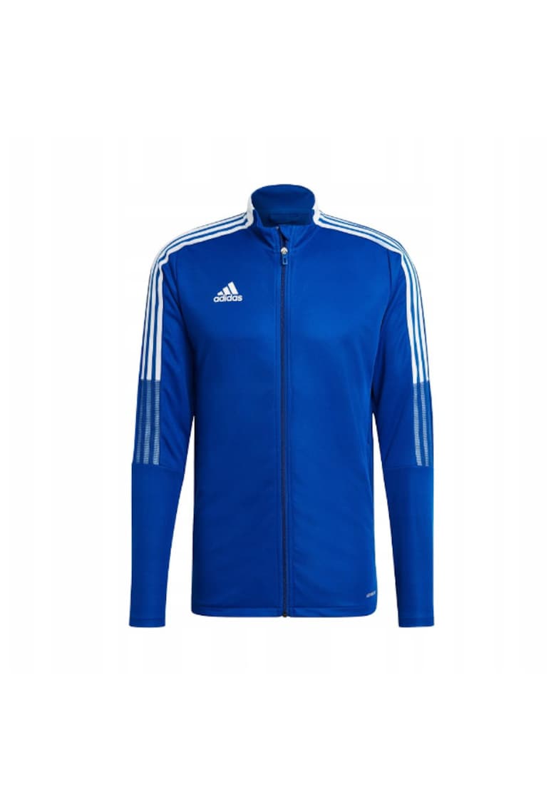 Bluza trening barbati - Poliester - Albastru/Alb