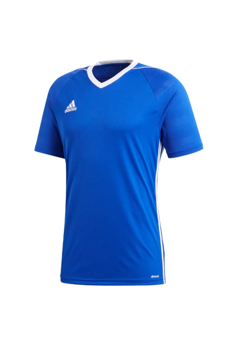 Tricou sport barbati - Albastru -