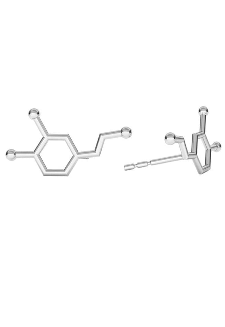 Cercei formula chimica Dopamina din Argint 925 - inchizatoare fluturas - tip surub Cercei formula chimica Dopamina din Argint 925 - inchizatoare fluturas - tip surub