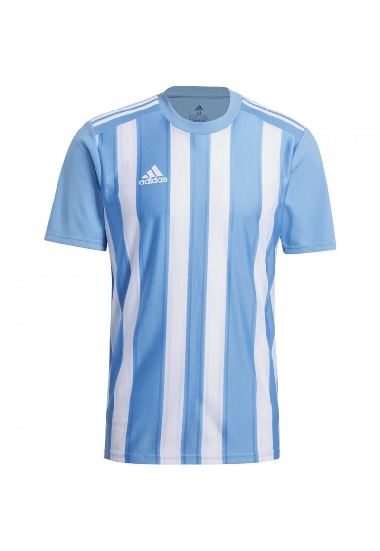 Tricou Striped 21 barbati - Alb/Albastru deschis