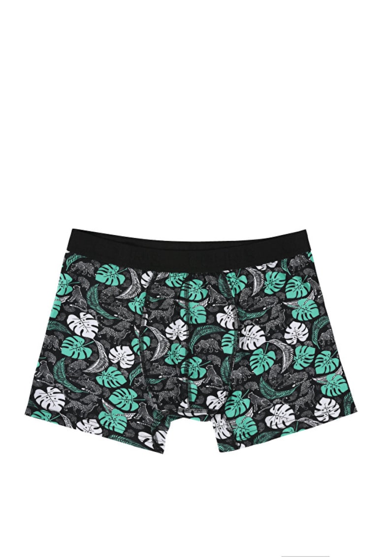 Lenjerie Intima De Barbati Multicolor Modern Fit6