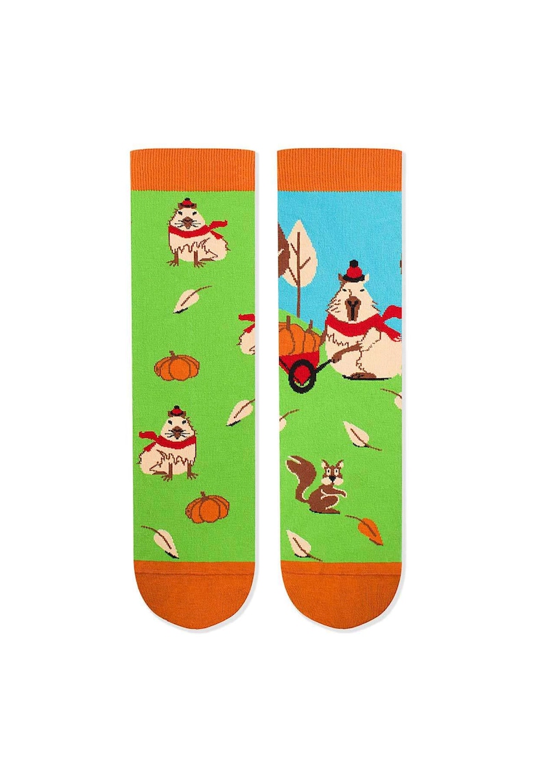 Sosete bumbac Arty Socks Capybara Verde