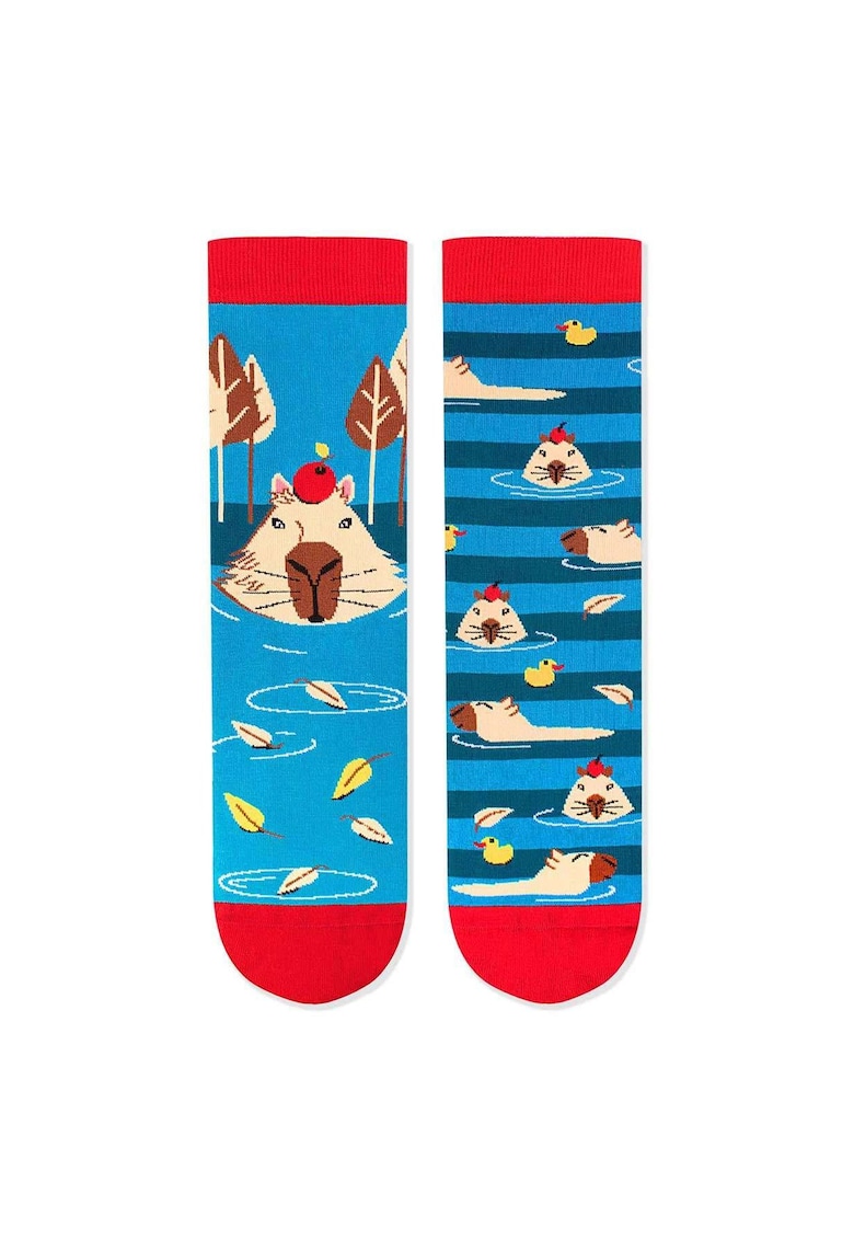 Sosete bumbac Arty Socks Capybara Albastru