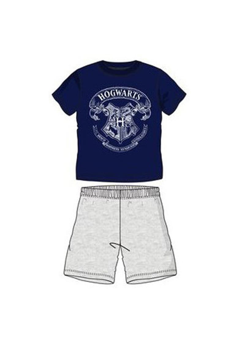 Pijamale scurte copii Harry Potter gri/albastru - Multicolor