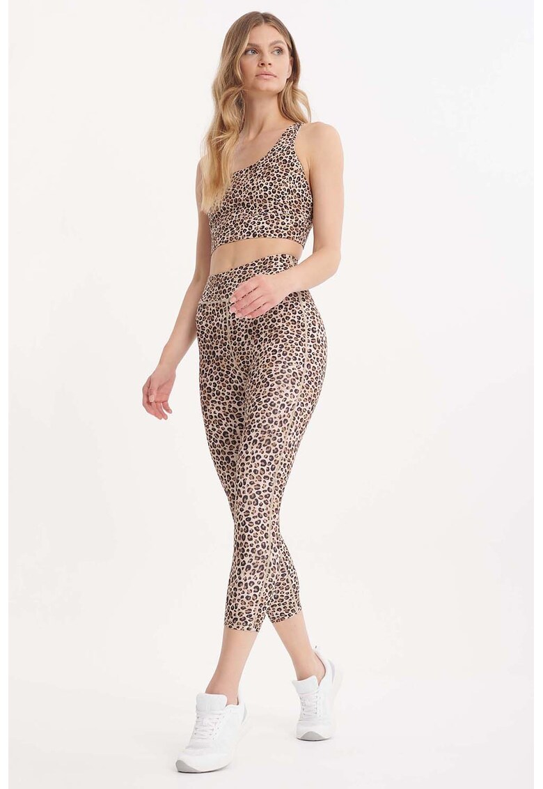 Colanti crop cu animal print