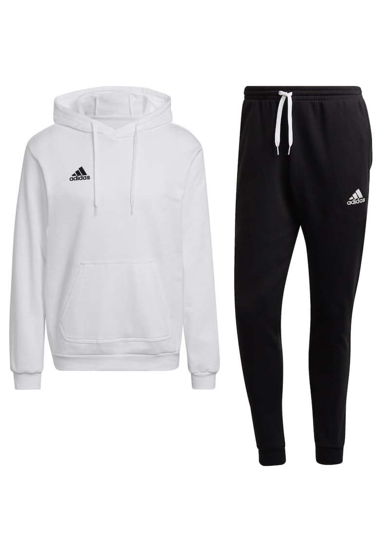 Trening Entrada 22 Cotton barbati