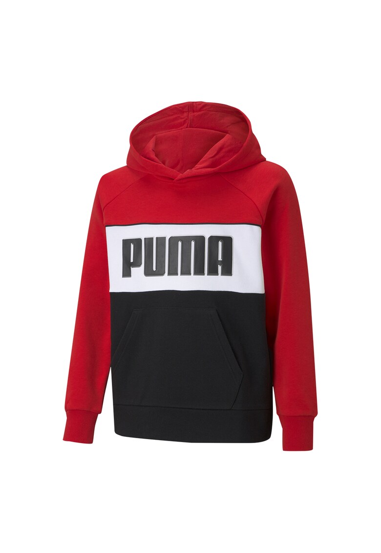 Hanorac cu model colorblock si logo Alpha