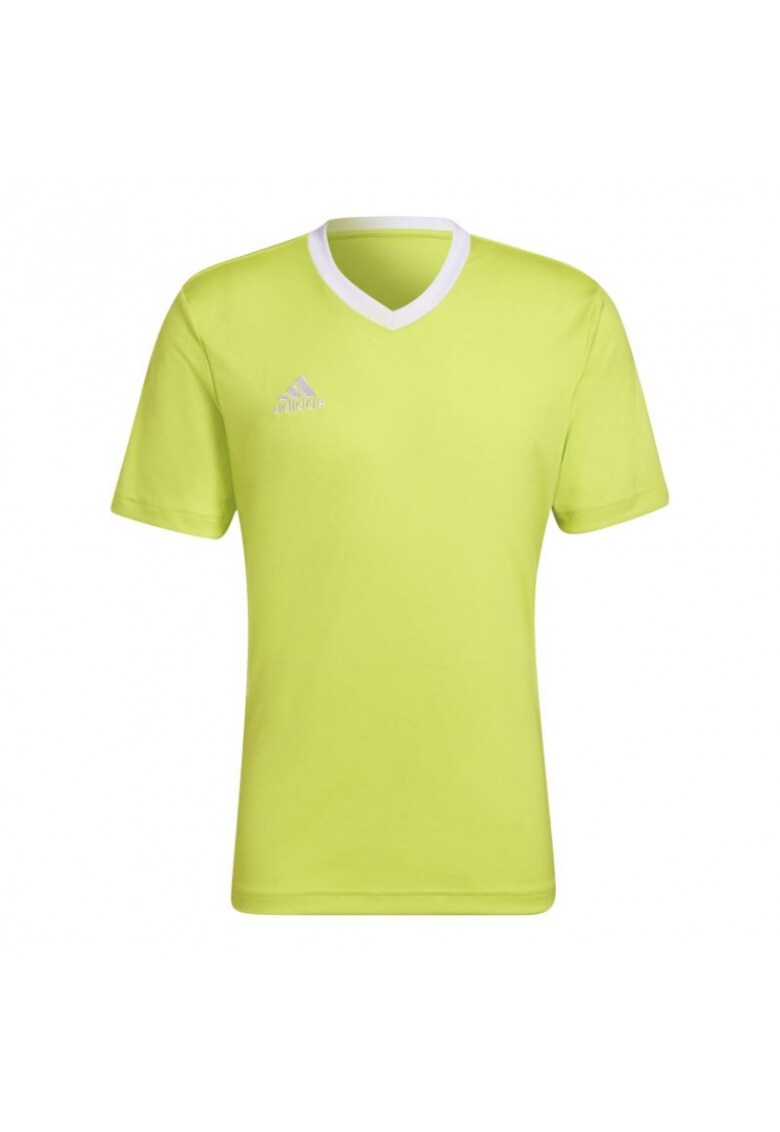 Tricou barbati - Poliester - Verde - Verde