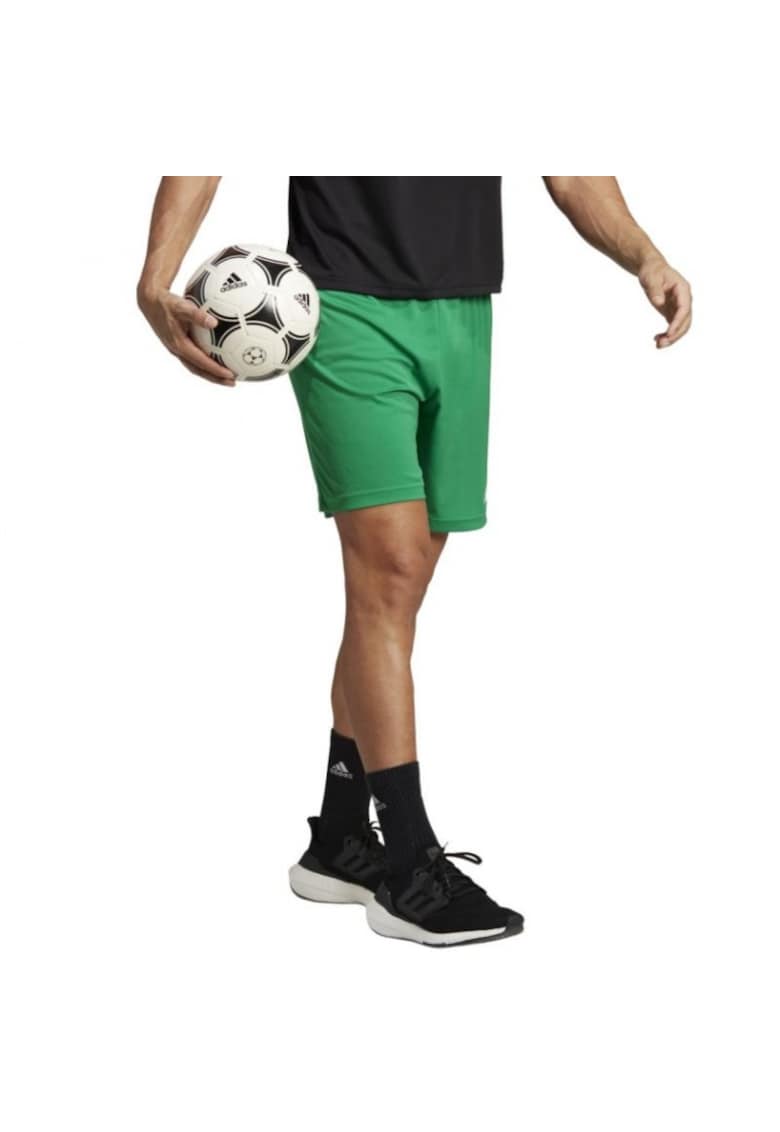 Pantaloni scurti barbati - Verde