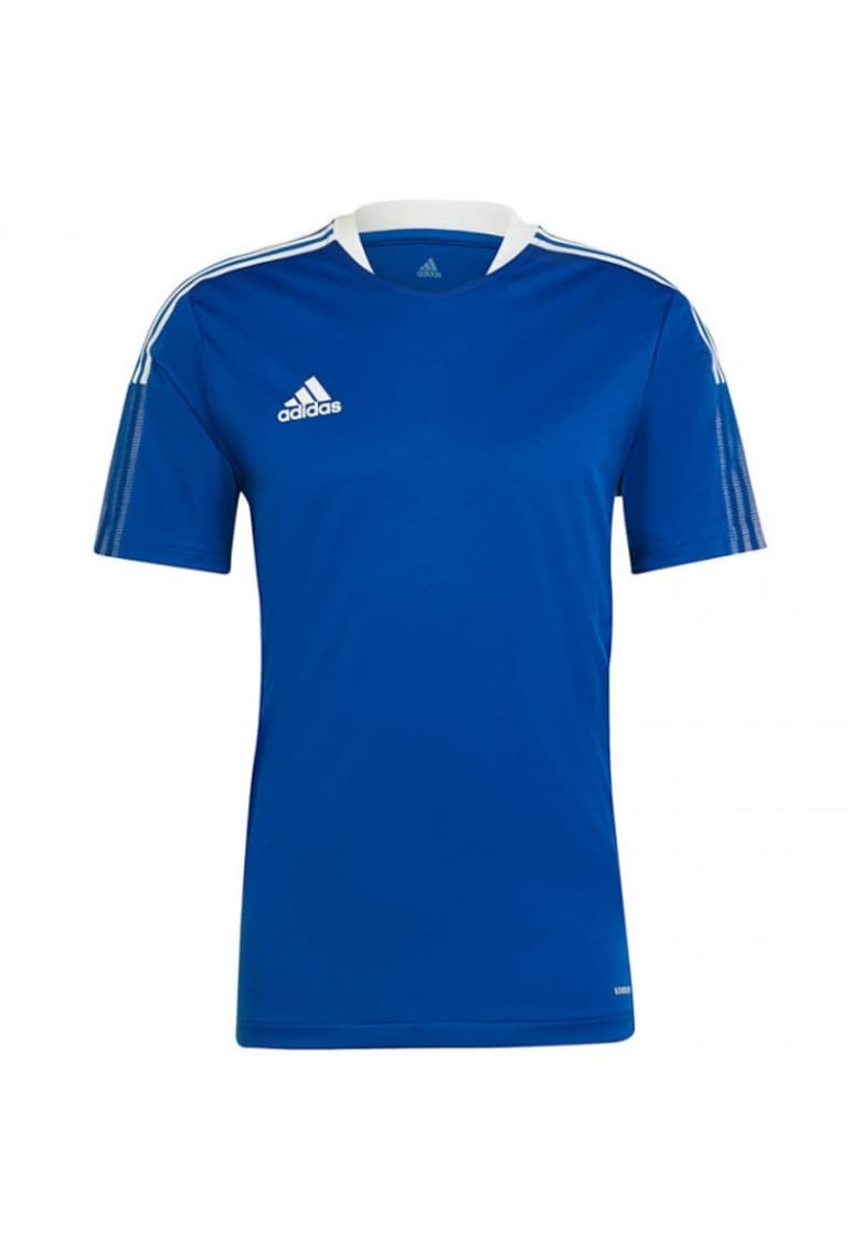 Tricou sport albastru - Albastru