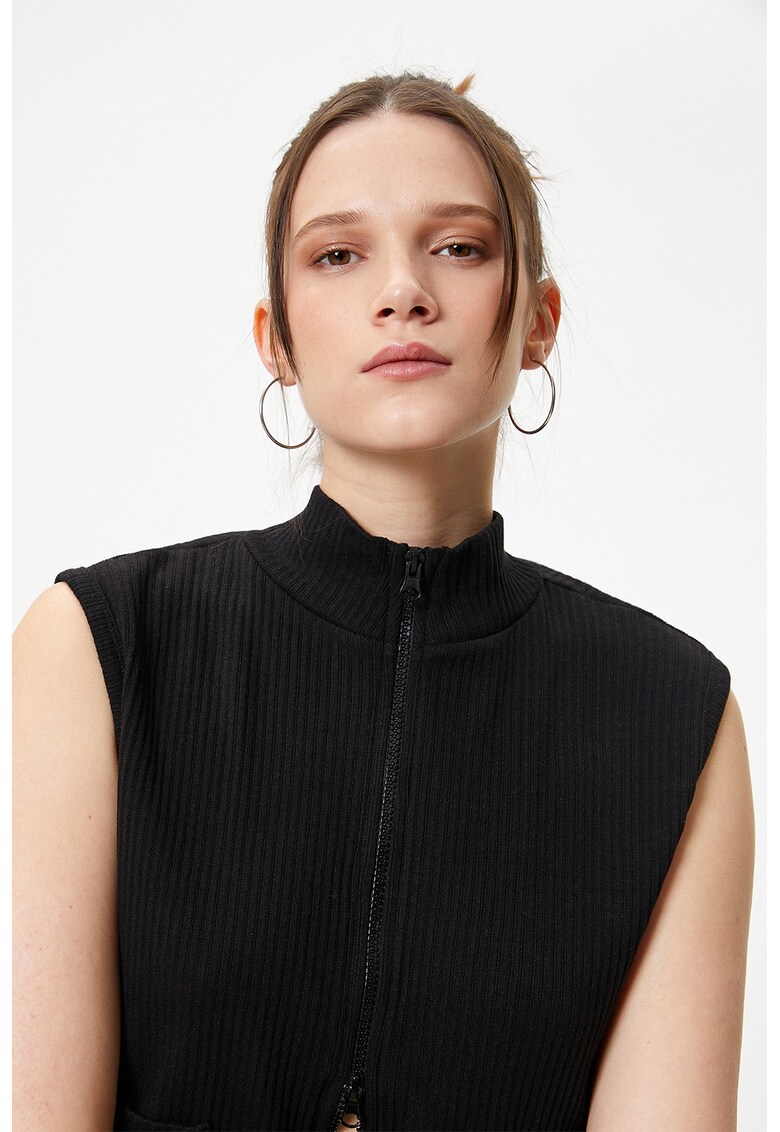 Vesta crop striata