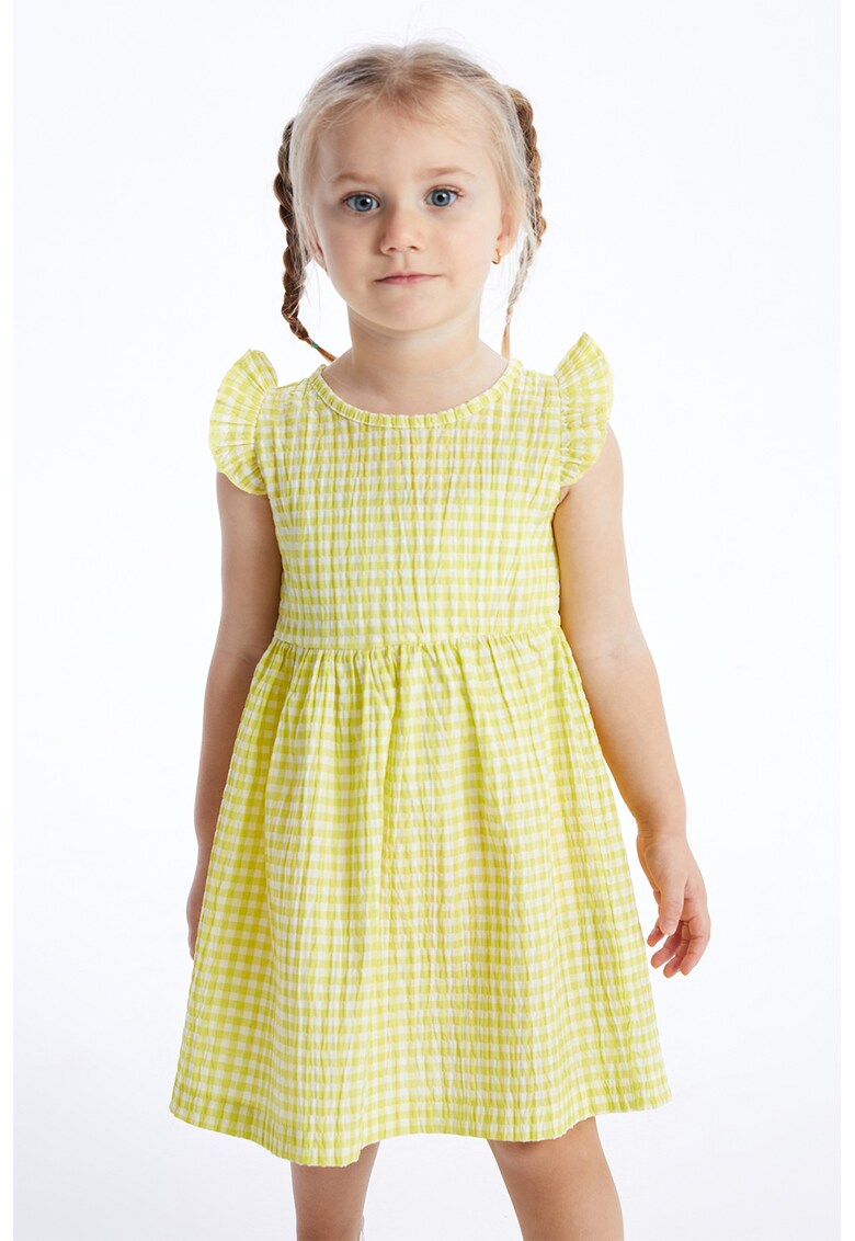 Rochie evazata in carouri