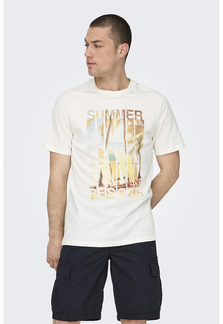 Tricou de bumbac organic - Maro/Alb murdar/Albastru deschis