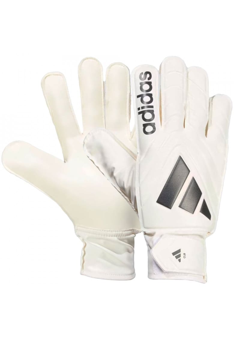 Manusi portar  Copa Club - alb -